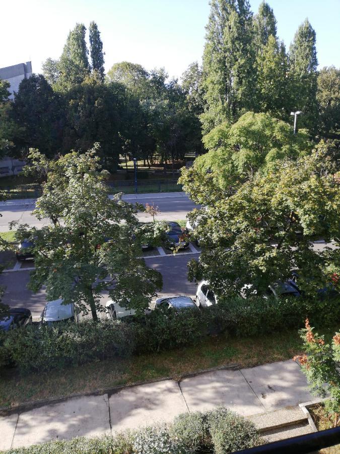 Apartman Vanja Belgrád Kültér fotó